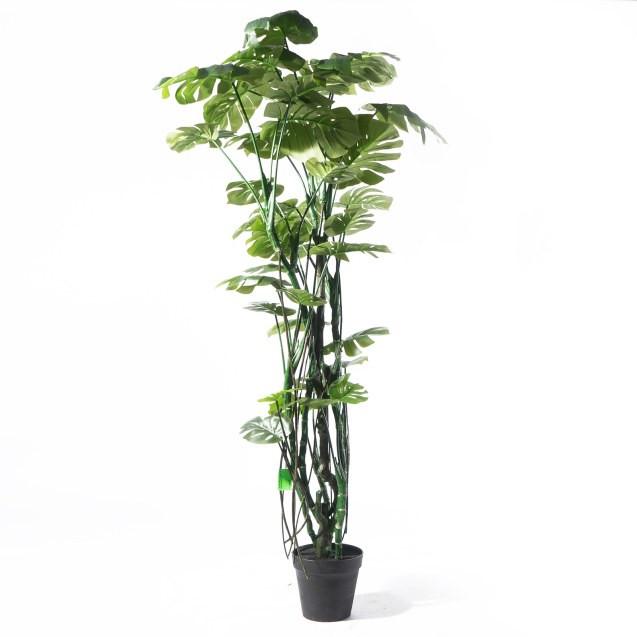 Supergreens Τεχνητό Δέντρο Μονστέρα Πράσινο 240...