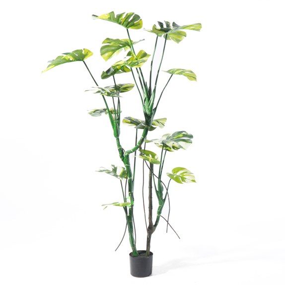 Supergreens Τεχνητό Δέντρο Μονστέρα "Albo" Πράσινο 160 εκ.