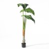 Supergreens Τεχνητό Δέντρο Αλοκάσια "Macrorrhiza" Πράσινο 160 εκ.