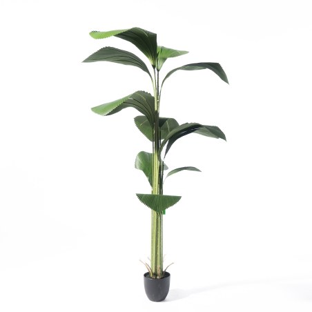 Supergreens Τεχνητό Δέντρο Λικουάλα Πράσινο 210 εκ.