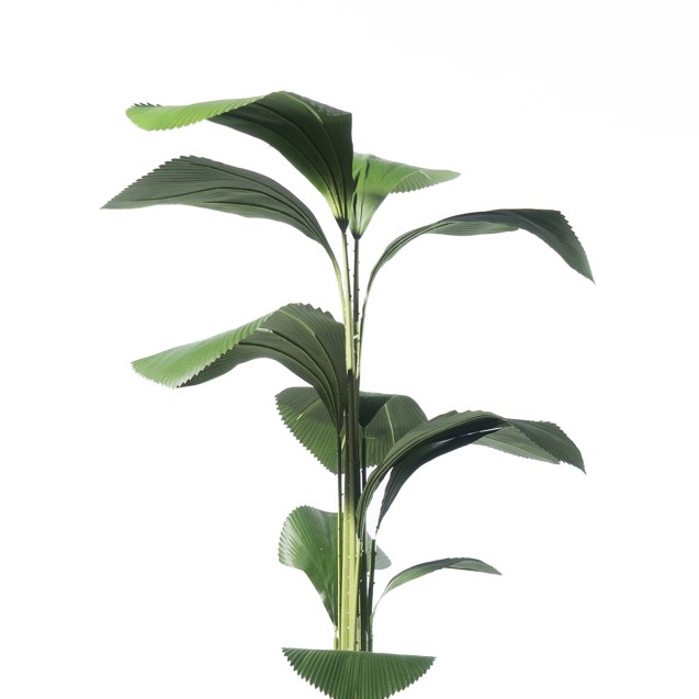 Supergreens Τεχνητό Δέντρο Λικουάλα Πράσινο 210...