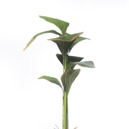 Supergreens Τεχνητό Δέντρο Λικουάλα Πράσινο 160 εκ.