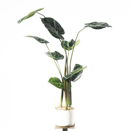 Supergreens Τεχνητό Φυτό Ανθούριο 90 εκ.