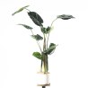 Supergreens Τεχνητό Φυτό Ανθούριο 90 εκ.