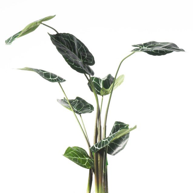 Supergreens Τεχνητό Φυτό Ανθούριο 90 εκ.