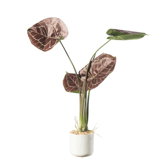 Supergreens Τεχνητό Φυτό Ανθούριο Κόκκινο 70 εκ.