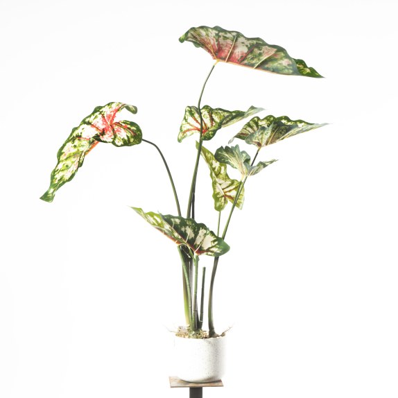 Supergreens Τεχνητό Φυτό Καλάδιο Πράσινο 95 εκ.