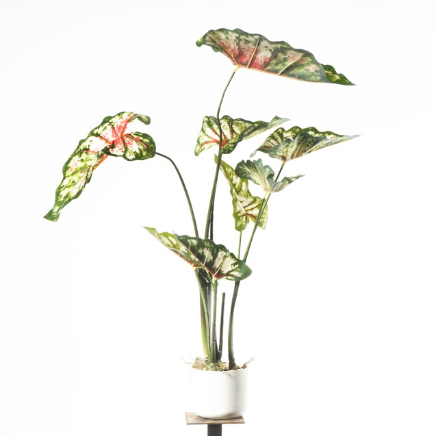 Supergreens Τεχνητό Φυτό Καλάδιο Πράσινο 95 εκ.