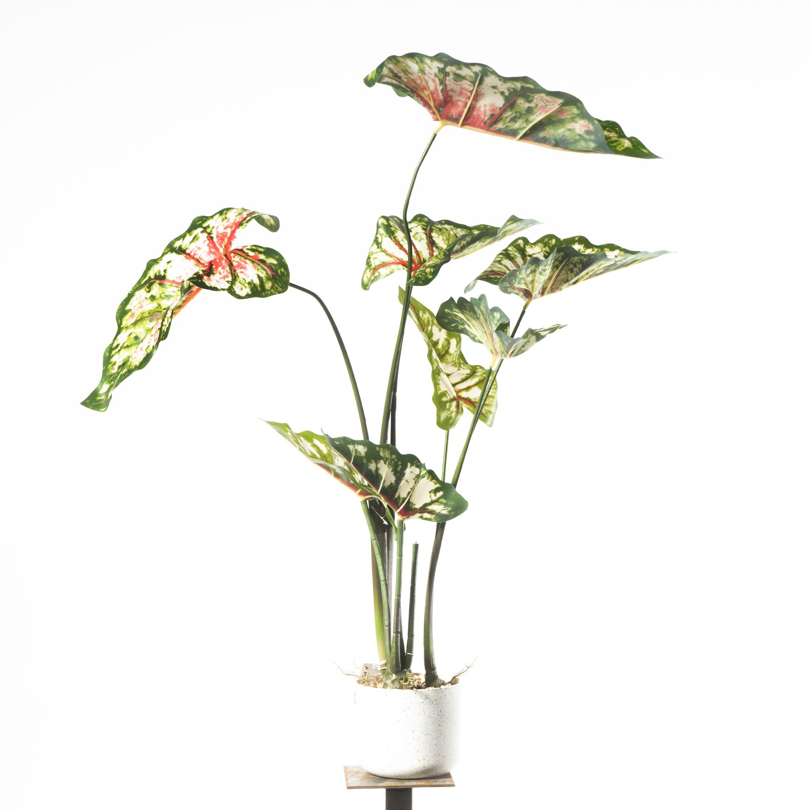 Supergreens Τεχνητό Φυτό Καλάδιο Πράσινο 95 εκ.