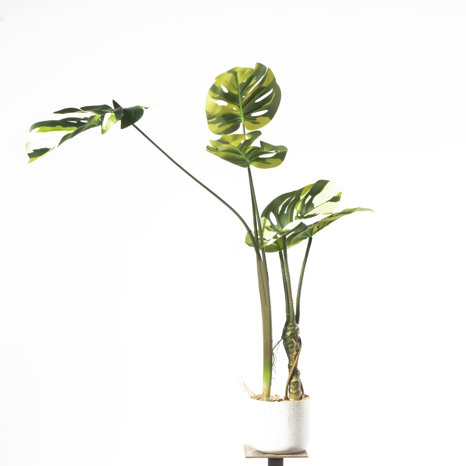 Supergreens Τεχνητό Φυτό Μονστέρα "Albo" Πράσινο 100 εκ.