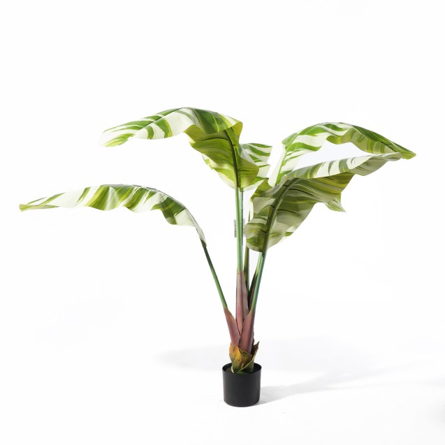 Supergreens Τεχνητό Δέντρο Μπανάνα "Albo"...