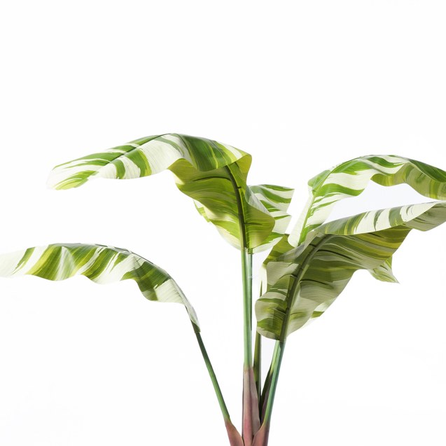 Supergreens Τεχνητό Δέντρο Μπανάνα "Albo"...