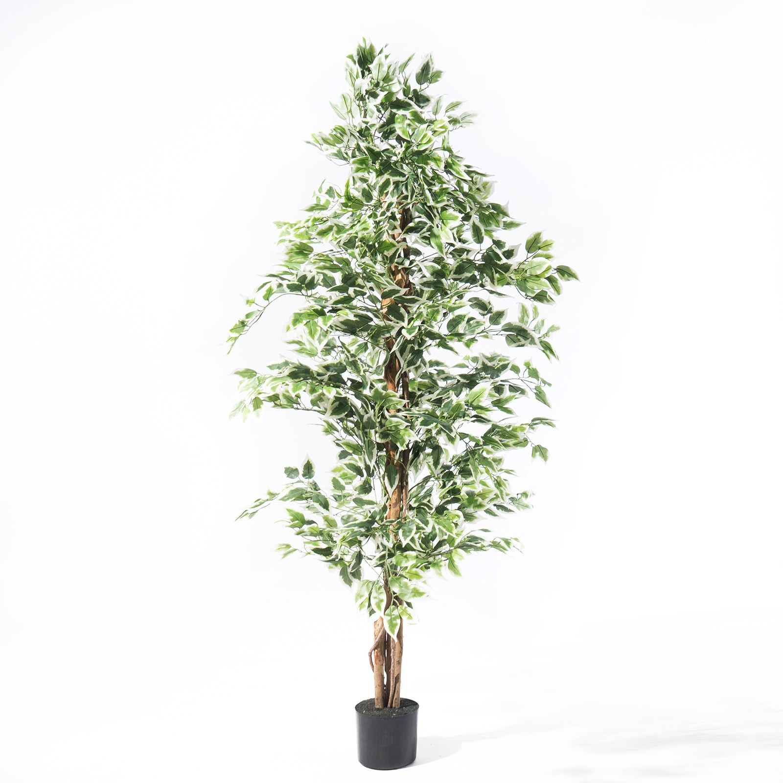 Supergreens Τεχνητό Δέντρο Φίκος "Benjamina Variegata" Πράσινο 180 εκ.