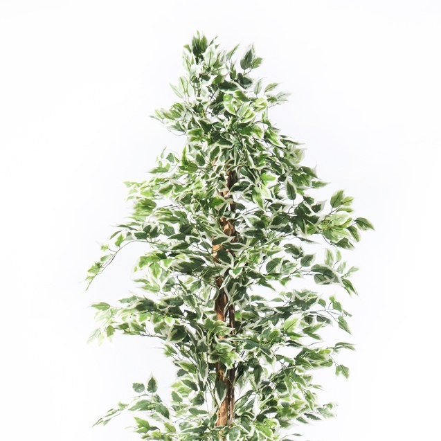 Supergreens Τεχνητό Δέντρο Φίκος "Benjamina...