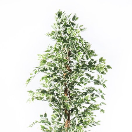 Supergreens Τεχνητό Δέντρο Φίκος "Benjamina Variegata" Πράσινο 180 εκ.