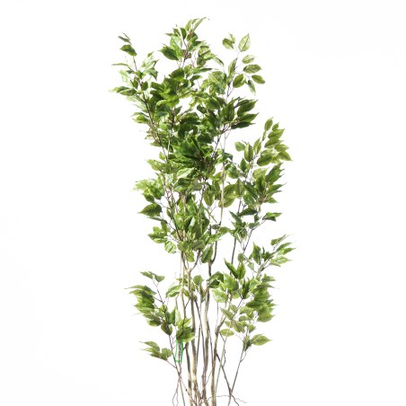 Supergreens Τεχνητό Δέντρο Φίκος "Ginseng" Πράσινο 170 εκ.