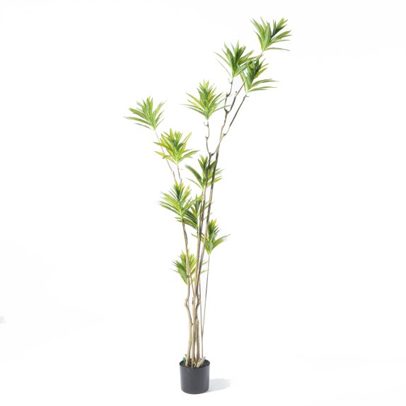 Supergreens Τεχνητό Δέντρο Δράκαινα Πράσινο 180 εκ.