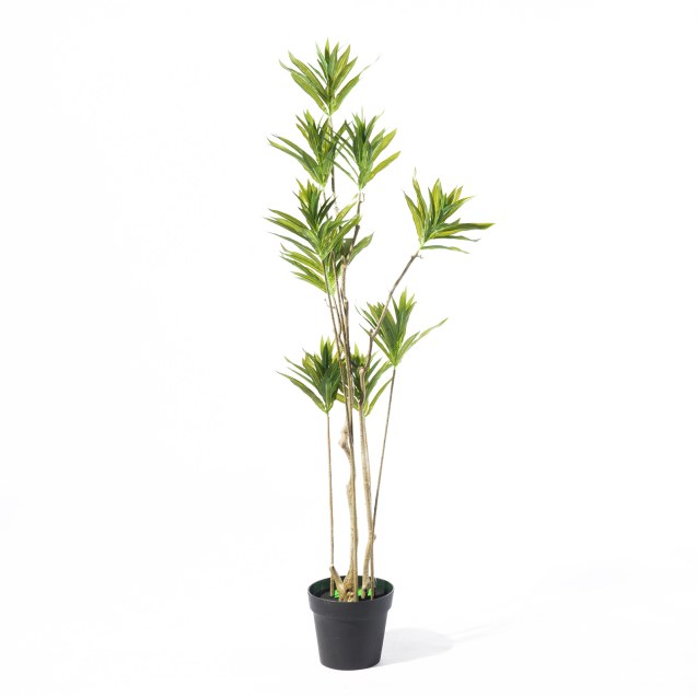 Supergreens Τεχνητό Δέντρο Δράκαινα Πράσινο 140...