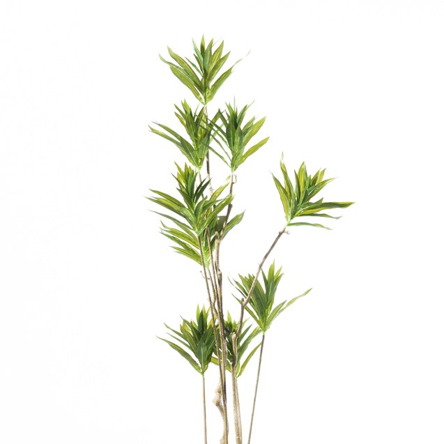 Supergreens Τεχνητό Δέντρο Δράκαινα Πράσινο 140...