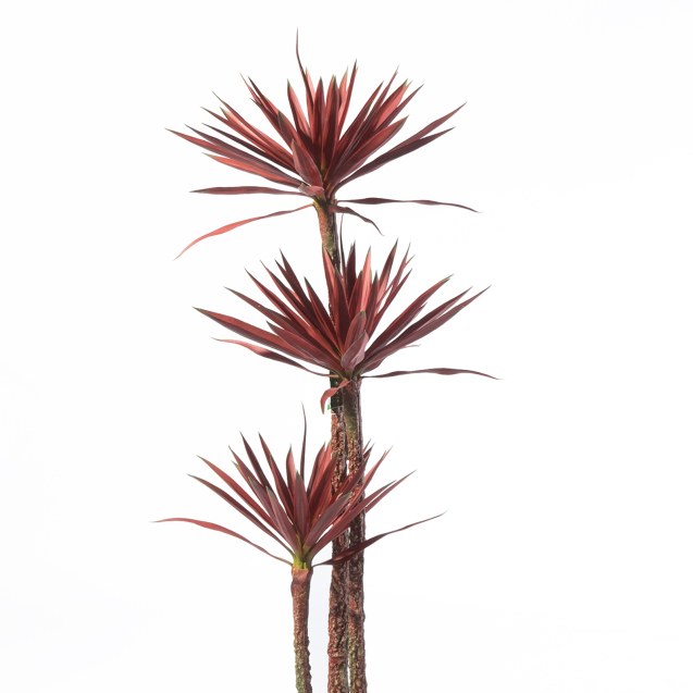 Supergreens Τεχνητό Δέντρο Δράκαινα "Cordyline"...