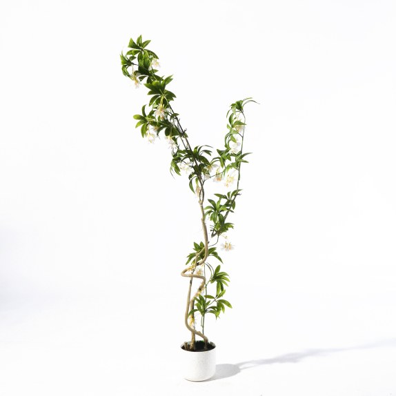 Supergreens Τεχνητό Δέντρο Δράκαινα "Cordyline" Πράσινο...