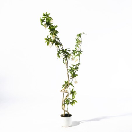 Supergreens Τεχνητό Δέντρο Δράκαινα "Cordyline" Πράσινο 150 εκ.