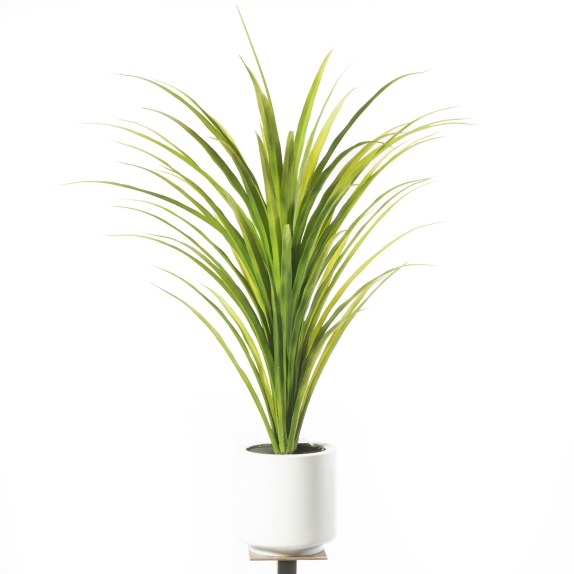 Supergreens Τεχνητό Φυτό Χορτάρι "Chlorophytum" Πράσινο...