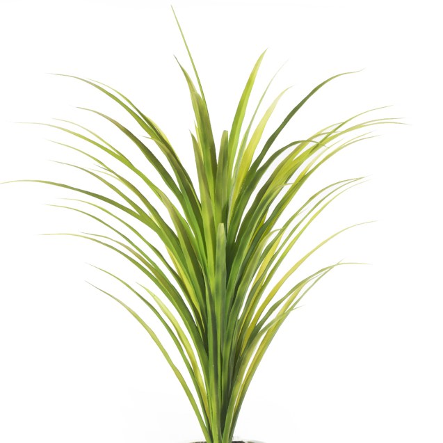 Supergreens Τεχνητό Φυτό Χορτάρι "Chlorophytum"...