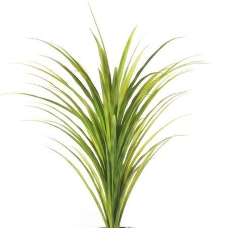 Supergreens Τεχνητό Φυτό Χορτάρι "Chlorophytum" Πράσινο 95 εκ.