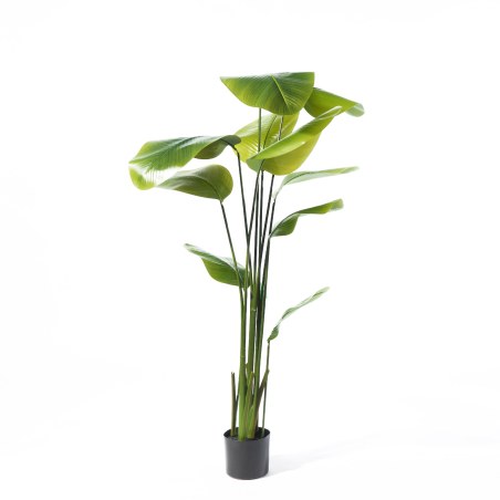 Supergreens Τεχνητό Δέντρο Πουλί του Παραδείσου "Strelitzia Augusta" Πράσινο 180 εκ.
