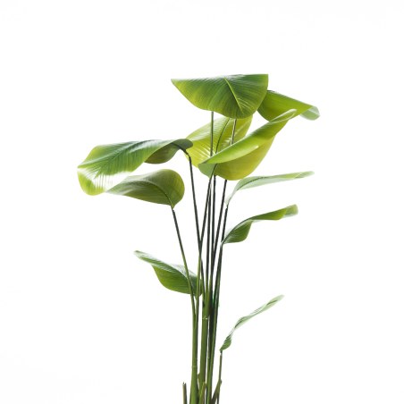 Supergreens Τεχνητό Δέντρο Πουλί του Παραδείσου "Strelitzia Augusta" Πράσινο 180 εκ.