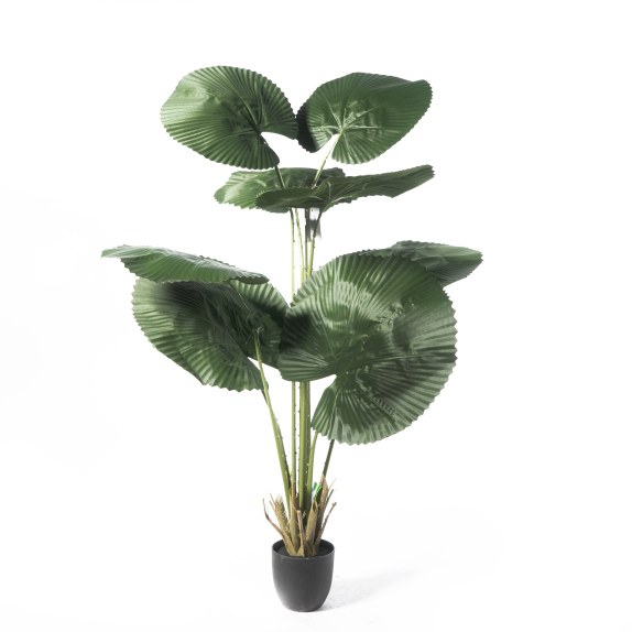 Supergreens Τεχνητό Δέντρο Λικουάλα Πράσινο 150 εκ.