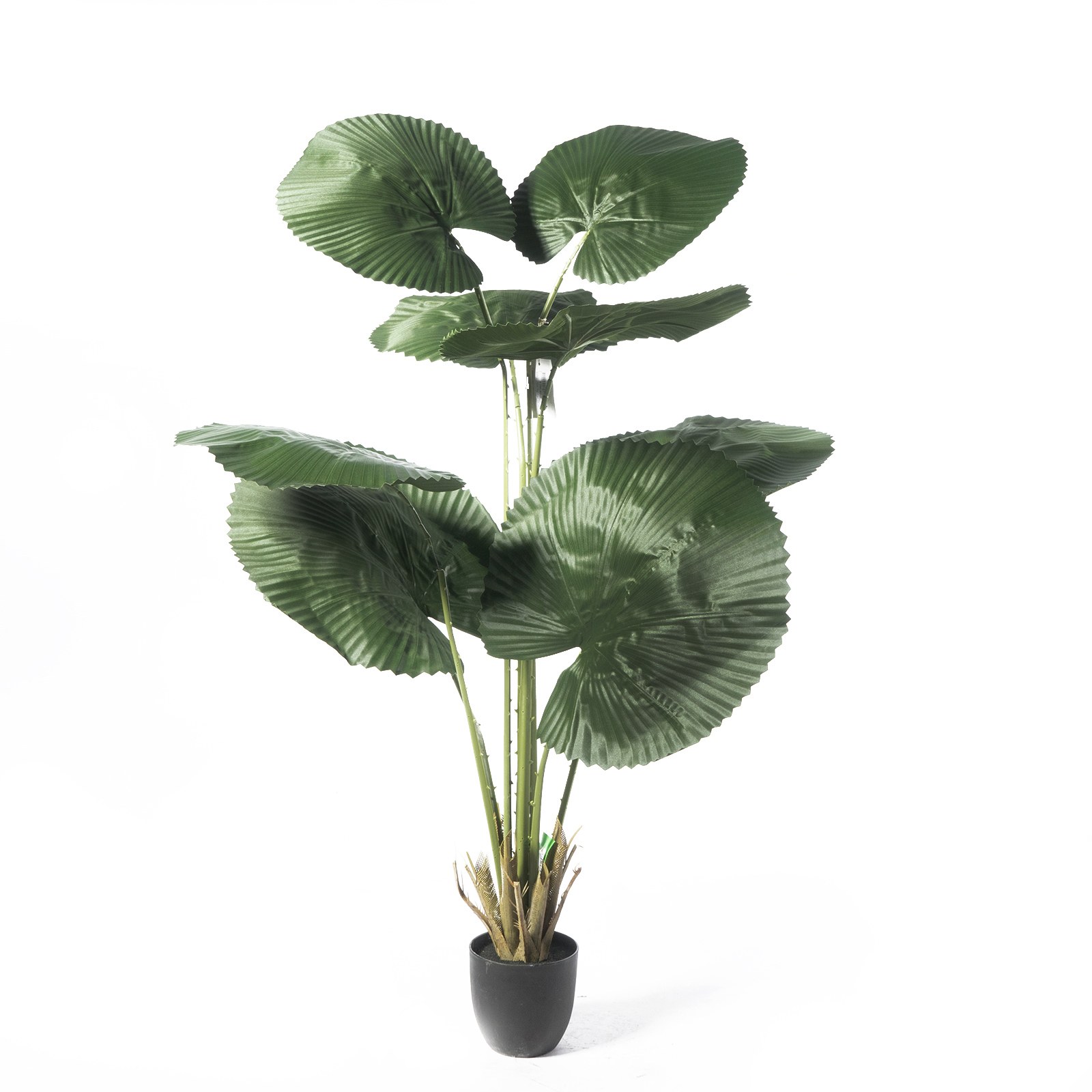 Supergreens Τεχνητό Δέντρο Λικουάλα Πράσινο 150 εκ.