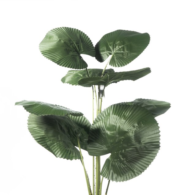 Supergreens Τεχνητό Δέντρο Λικουάλα Πράσινο 150...