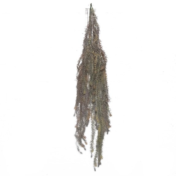 Supergreens Τεχνητό Κρεμαστό Σπαράγγι 108 εκ.