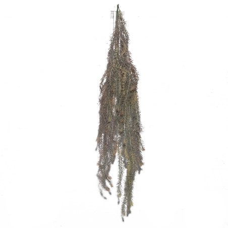 Supergreens Τεχνητό Κρεμαστό Σπαράγγι 108 εκ.