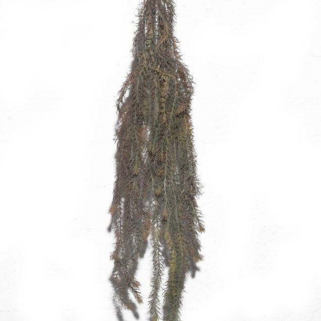 Supergreens Τεχνητό Κρεμαστό Σπαράγγι 108 εκ.