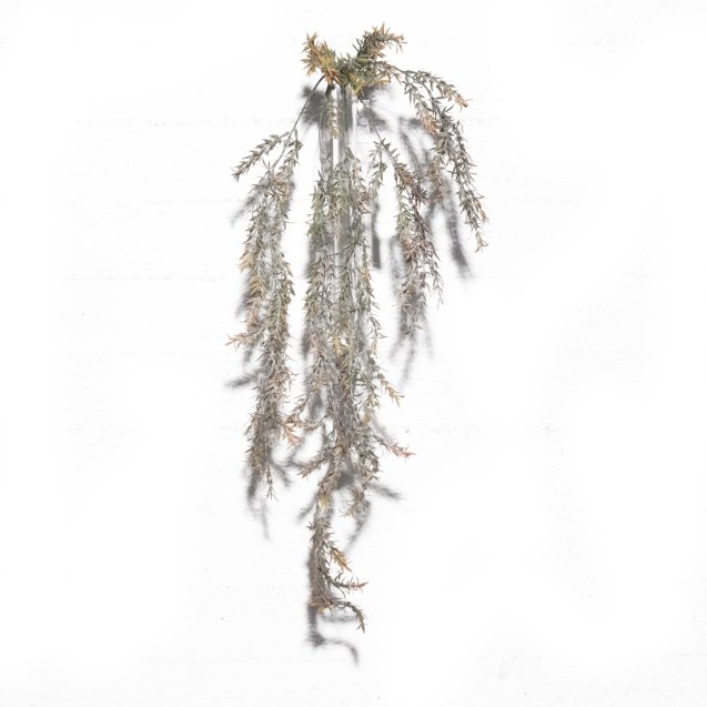 Supergreens Τεχνητό Κρεμαστό Σπαράγγι 80 εκ.