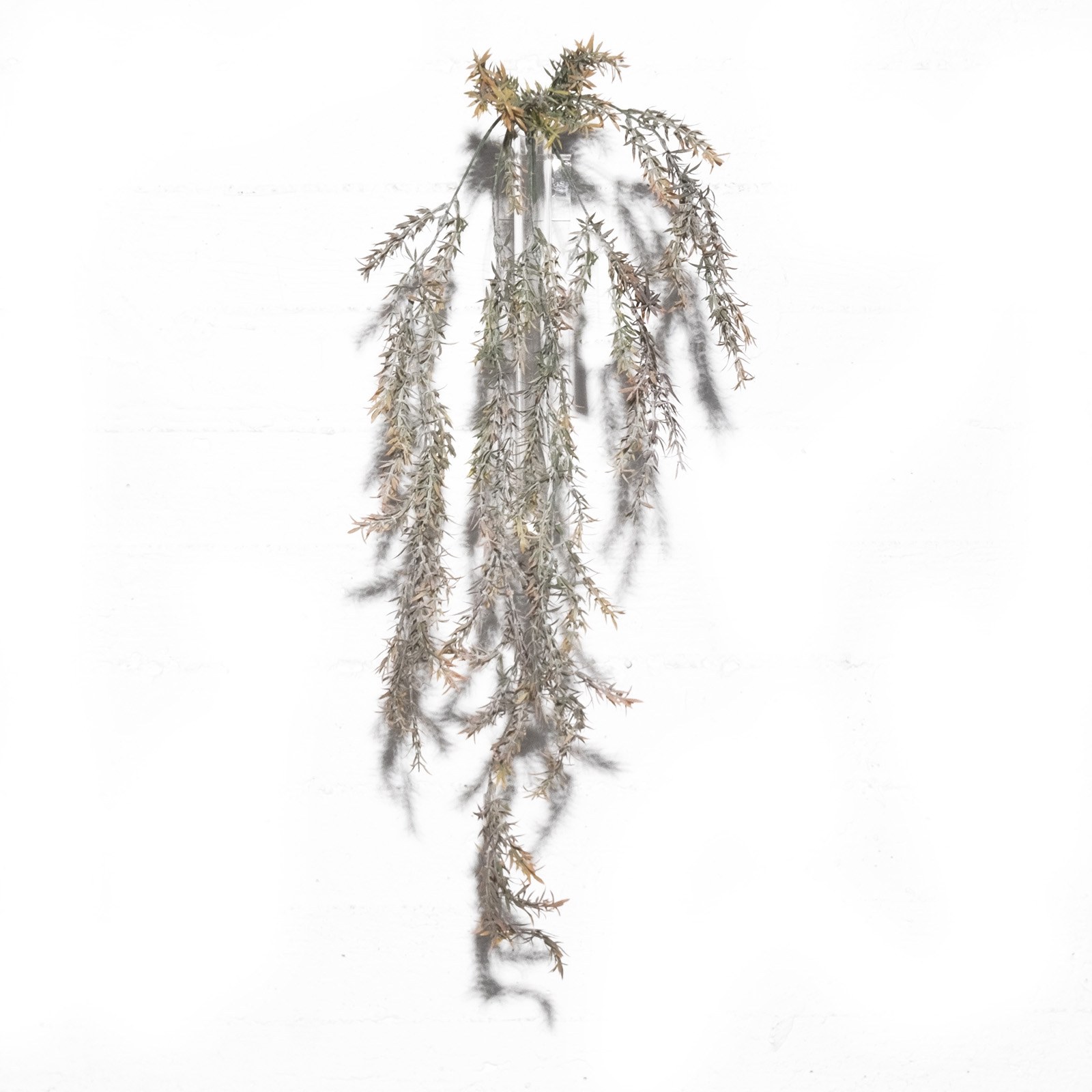 Supergreens Τεχνητό Κρεμαστό Σπαράγγι 80 εκ.