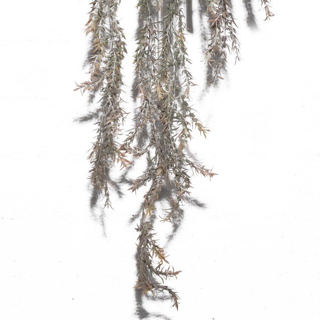 Supergreens Τεχνητό Κρεμαστό Σπαράγγι 80 εκ.