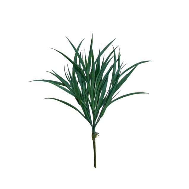 Supergreens Τεχνητό Χωνευτό Χορτάρι "Acorus"...