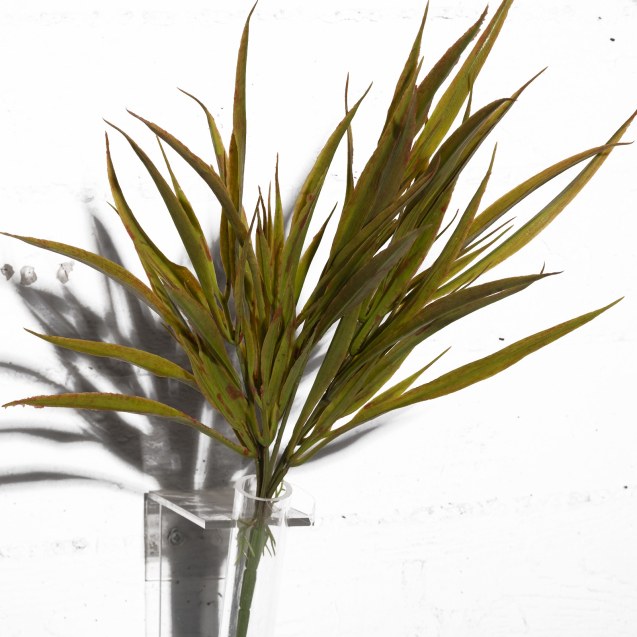 Supergreens Τεχνητό Χωνευτό Χορτάρι "Acorus" 45...