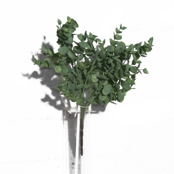 Supergreens Τεχνητός Χωνευτός Ευκάλυπτος Πράσινος 40 εκ.