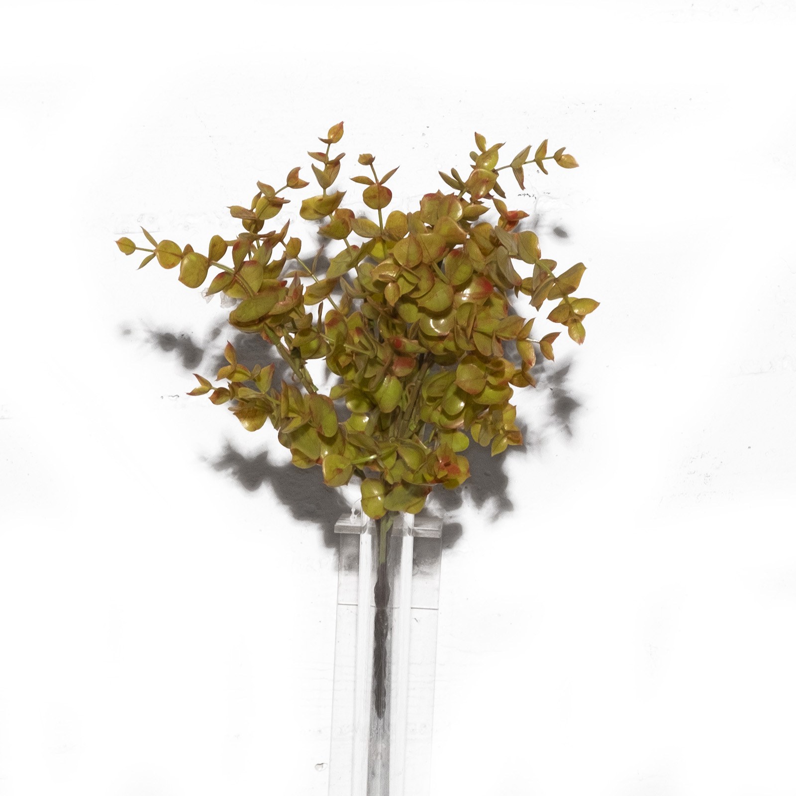 Supergreens Τεχνητός Χωνευτός Ευκάλυπτος 40 εκ.