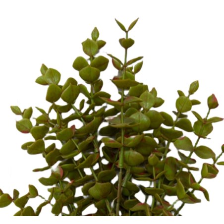 Supergreens Τεχνητός Χωνευτός Ευκάλυπτος 40 εκ.