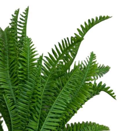 Supergreens Τεχνητή Χωνευτή Φτέρη "Cinnamon" Πράσινη 46 εκ.