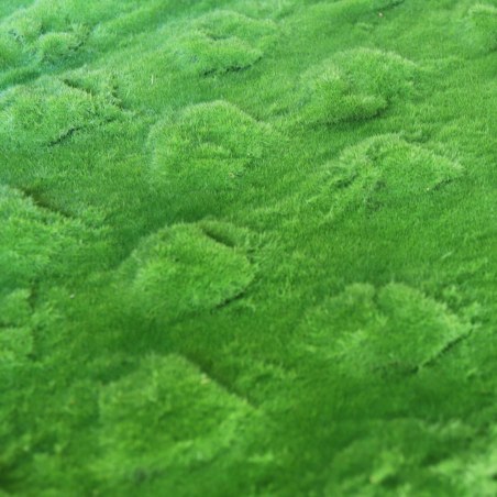 Supergreens Τεχνητή Φυλλωσιά Moss "Wavy" Πράσινη 100x100 εκ.