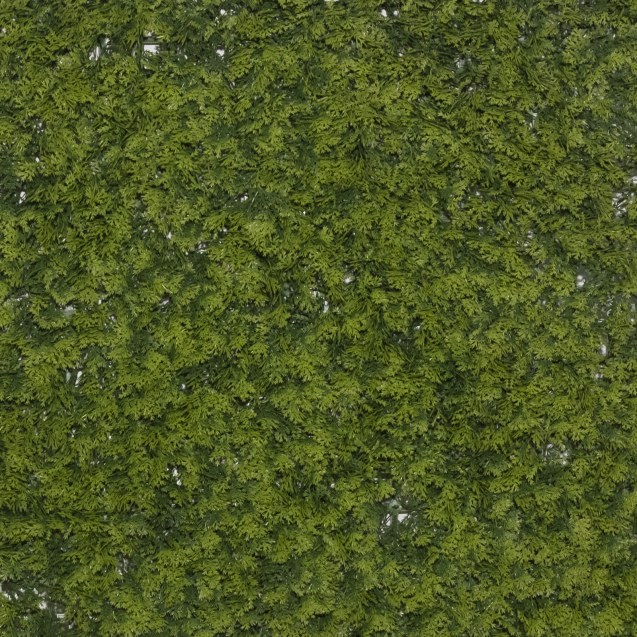 Supergreens Τεχνητή Φυλλωσιά Φτέρη "Maidenhair"...