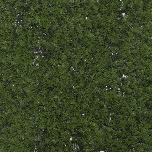 Supergreens Τεχνητή Φυλλωσιά Φτέρη "Cinnamon"...