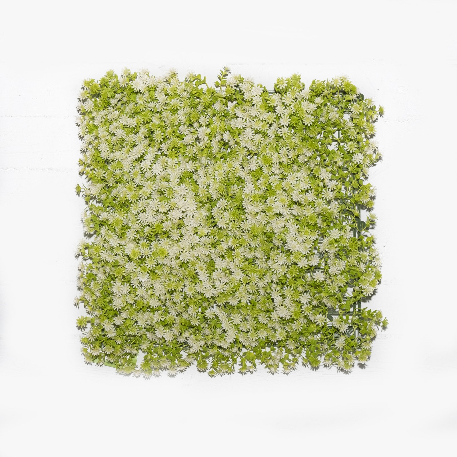 Supergreens Τεχνητή Φυλλωσιά Moss "Haircap" Λευκή 50x50 εκ.